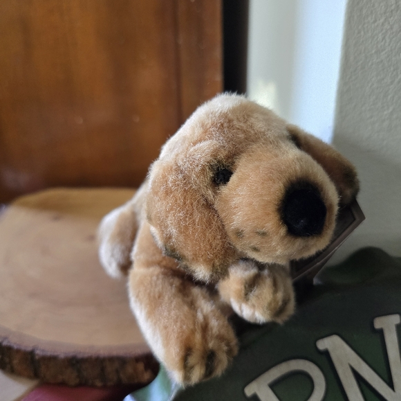 Golden retriever plush, new with tags - Picture 5 of 7